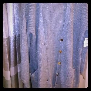 NWT Long Silver Sweater